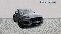 2024 Ford Kuga 2.5 FHEV ST-Line X Edition 5dr CVT SUV Hybrid Ele Automatic