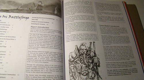 Picture 4