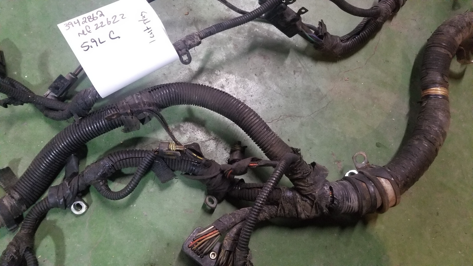 3942862 Harness 1998 24 Valve Dodge Ram Cummins Diesel 5.9L - Picture 9 of 12