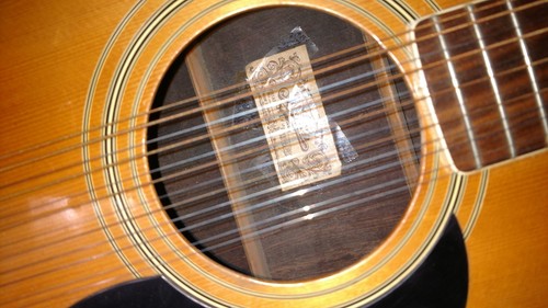 Aria  Acoustic Guitar   12-String