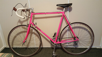 DAWES ADULT VINTAGE BICYCLE 12 SPEED TOURING CYCLE BIKE " Etchelon"