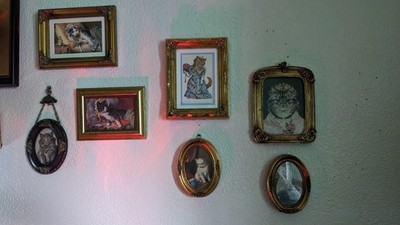 Foto dell'oggetto di un acquirente verificato