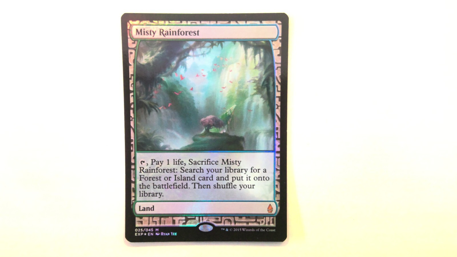 mtg 霧深い雨林 Zendikar Expeditions mtg 霧深い雨林 Zendikar Expeditions mtg 霧深い雨林 Zendikar