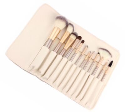 PROFESSIONELLE MAKE UP PINSEL 12 STÜCK + ETUI SET
