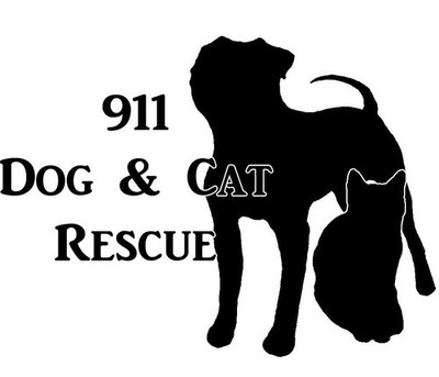 911 Dog and Cat Rescue 