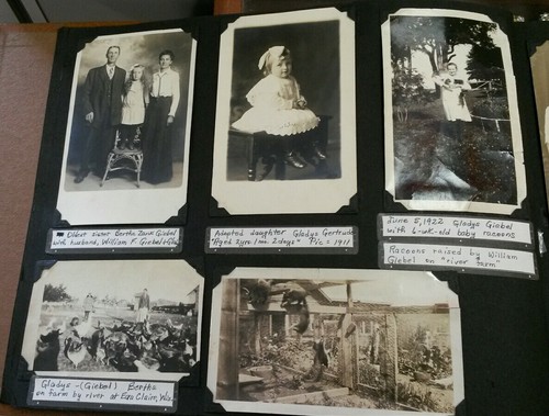 FAMILY Tree PHOTO ALBUM 1899+ ID'd Zank Helmke  WI 4 Generations