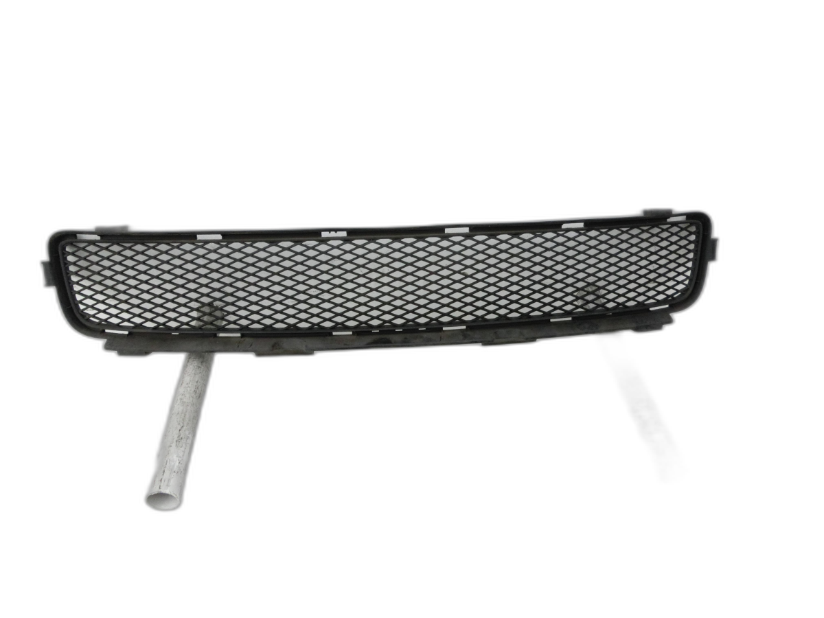 Lexus GS GRS 300 05-09 Lufteinlassgitter für Stoßstange Stoßfänger Unterer Grill 202        - Bild 1