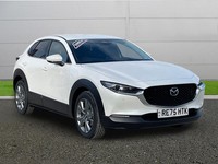 2025 Mazda CX-30 2.5 e-Skyactiv G MHEV 140 Exclusive-Line 5dr Auto Hatchback Pet