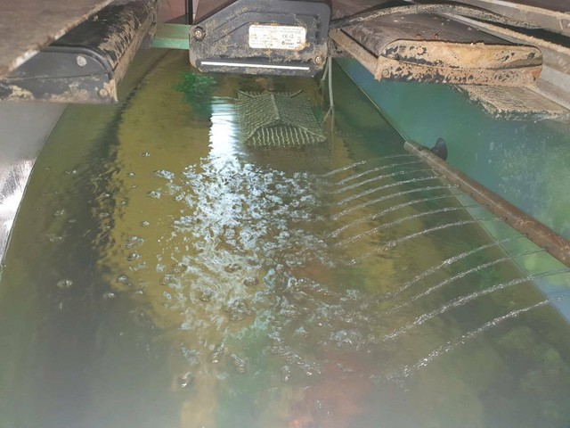 Fish tank with everything Fish Gumtree Australia