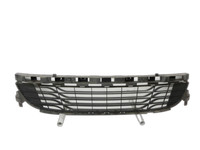 Smart ForTwo 451 07-10 Stoßstangengitter Lufteinlassgitter Grill Vorne ECC Smart ForTwo 451 07-10 29.10.2009... Vorschau 1