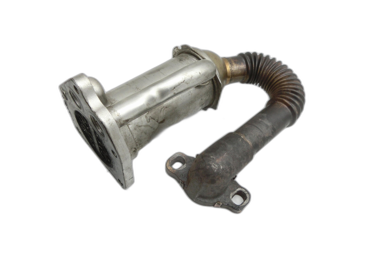 Nissan Qashqai J10 07-10 dCi 1,5 76KW Abgaskühlung Wärmetauscher für AGR  - Bild 1