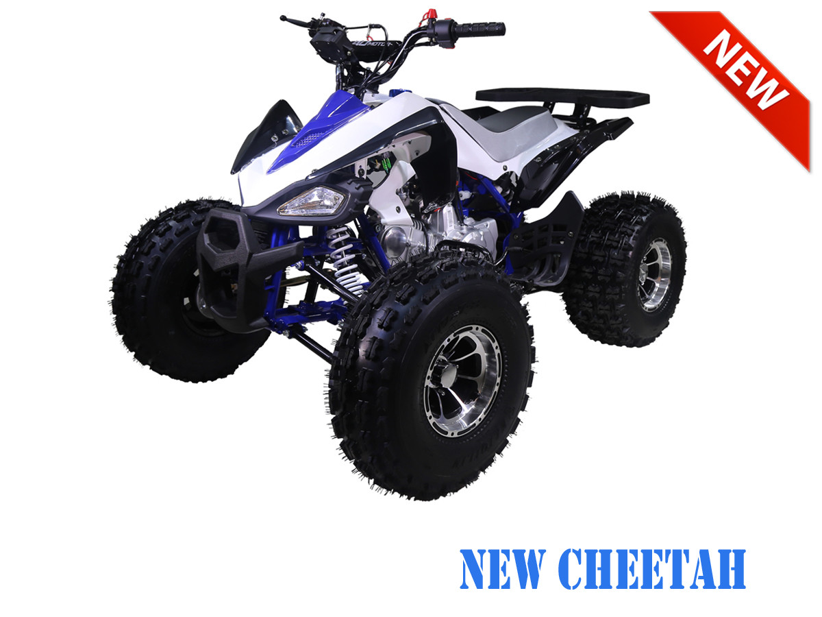 TAOTAO 125CC NEW CHEETAH MID SIZE ATV, AUTOMATIC WITH REVERSE, AIR COOLED