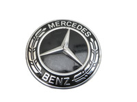 Mercedes A207 E250 10-13 Nabenabdeckung Radnabenabdeckung 1x Mercedes A207 E250 10-13 31.08.2010 A1714000025 gebraucht Vorschau 1