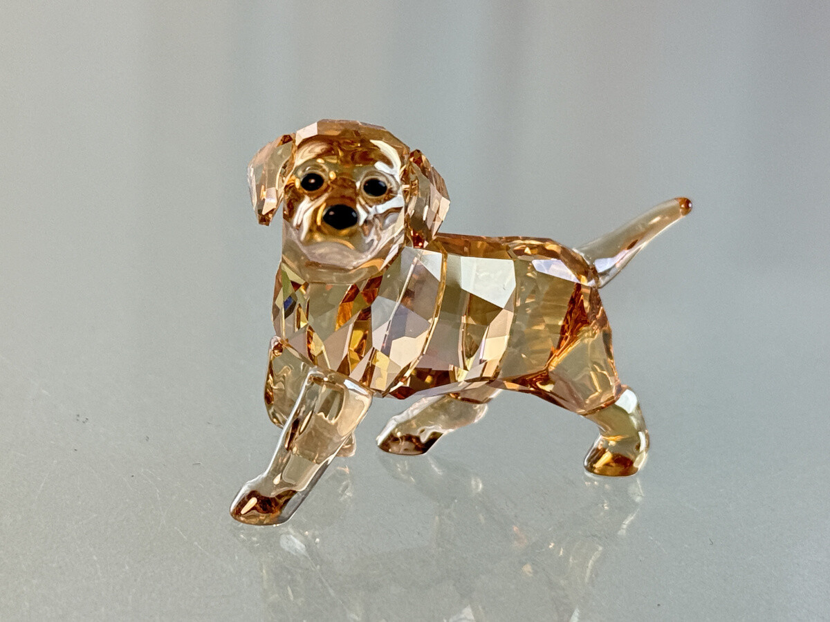 Swarovski 1142824 Golden Retriever Puppy Standing 4.5cm. | eBay