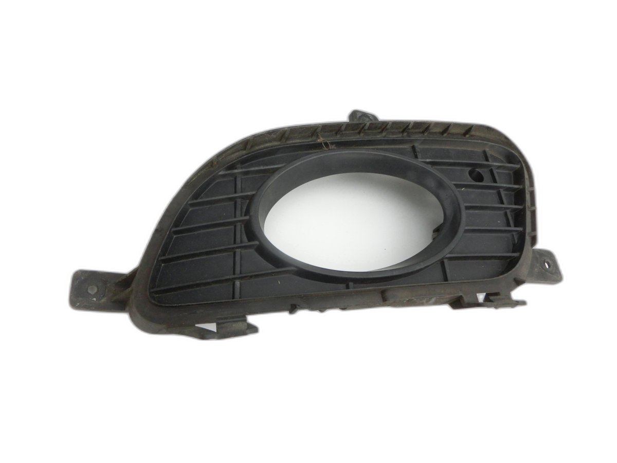 anteriore Cornice-Mostrina Bar Fendinebbia Sx per BMW X3 E83 04-06 - Bild 1