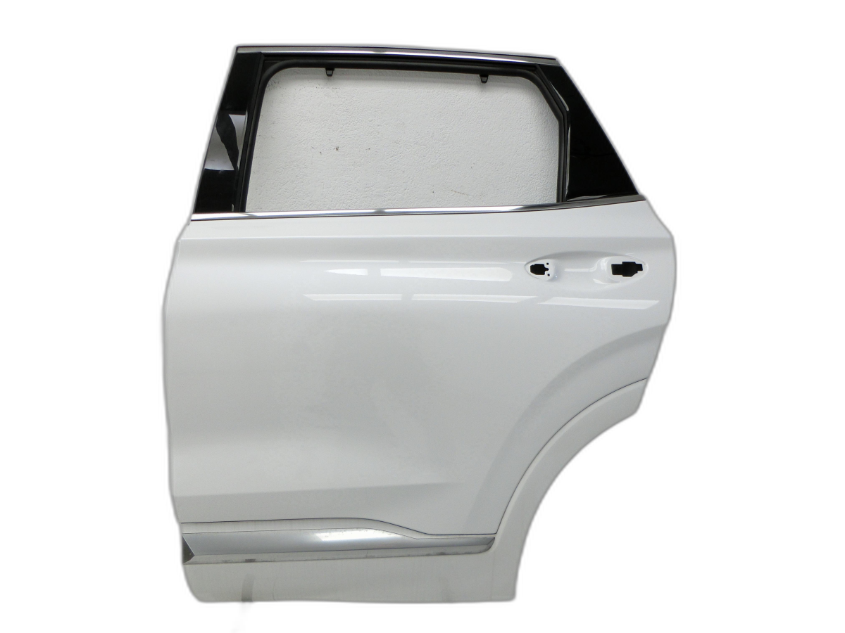 Door Left Rear for WW2 Hyundai Santa Fe IV TM 18-20 - Bild 1