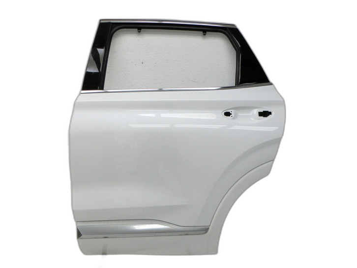 Hyundai Santa Fe IV TM 18-20  Tür Links Hinten WW2        - Bild 1