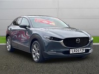 2025 Mazda CX-30 2.5 e-Skyactiv G MHEV 140 Exclusive-Line 5dr Auto Hatchback Pet