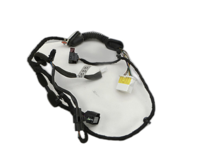 Chevrolet Captiva S10 06-11 Kabelbaum Tür und Fensterheber Links Vorne - Bild 1