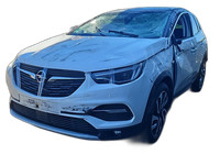 Opel Grandland I 17-21 Luftdusche Luftdüse Mitte Hinten Opel Grandland I 17-21 29.03.2018 gebraucht Vorschau 8