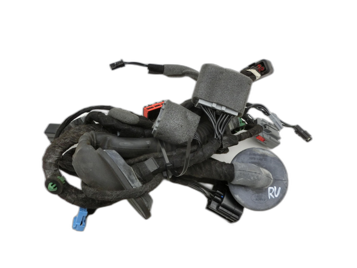 Range Rover Evoque L538 11-15 Kombi RHD Kabelbaum für Tür und Fensterheber Rechts Vorne  - Bild 1