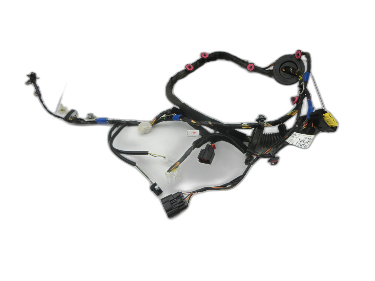 Fascio cablaggio Portiera e Alzacristallo Sx anteriore per Kia Sorento XM 09-12 - Bild 1