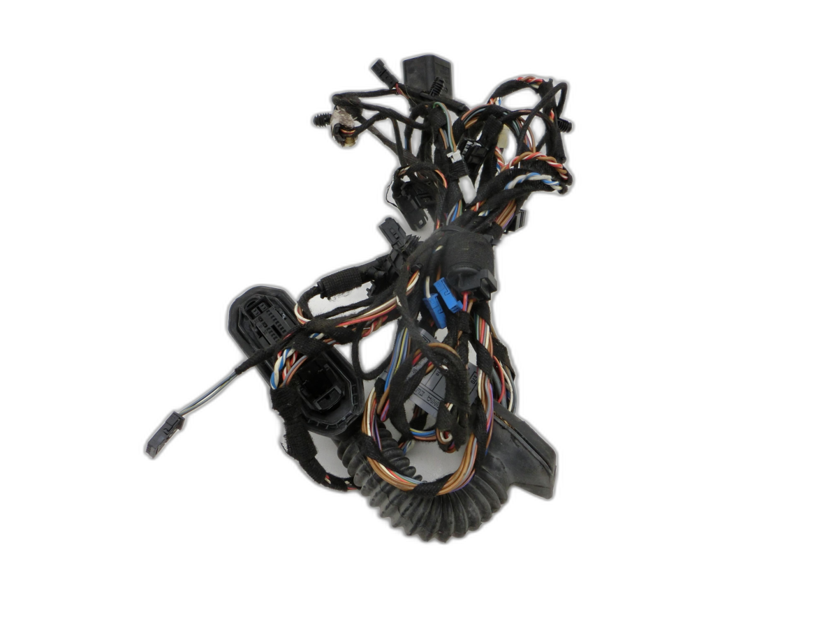 Fascio cablaggio per Portiera e Alzacristallo Dx anteriore BMW X5 E70 07-10 - Bild 1