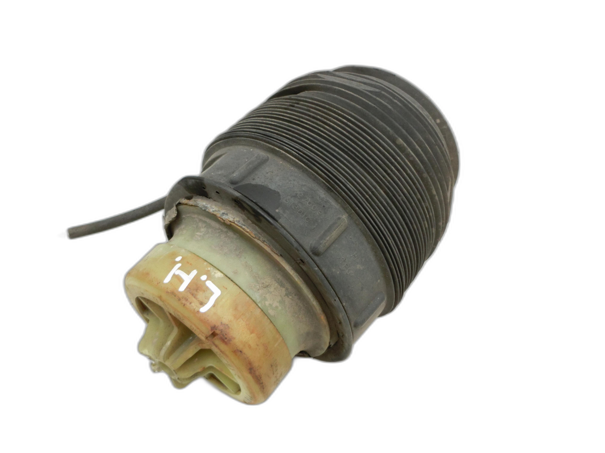 Molla pneumatica Soffietto posteriore Sx per Mercedes W212 E350 09-14 - Bild 1