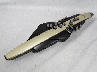 Instrument à vent numérique Roland Aerophone AE-20 bon état