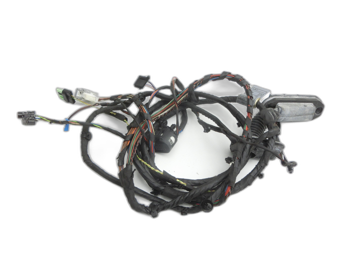 Fascio cablaggio Portiera e Alzacristallo Sx anteriore per Lim BMW F10 523i 10-13 - Bild 1