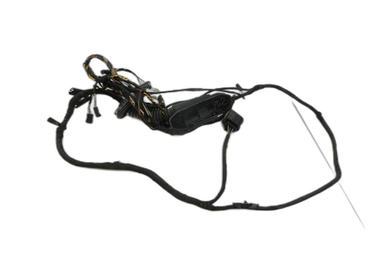 Fascio cablaggio per Portiera e Alzacristallo Sx posteriore BMW F07 5er GT 535i 09-13 - Bild 1