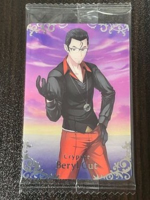 Fate Grand Order FGO wafer 13 Japanese Card Bandai
