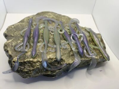 4  Lizard soft plastic fishing bait!