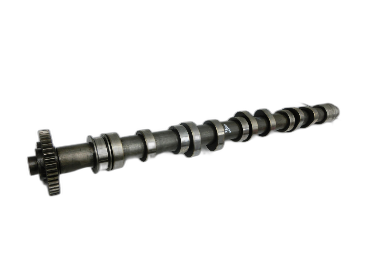 VW Golf Plus 5M 08-14 TDI 1,6 77KW CAYC Nockenwelle Auslass  - Bild 1