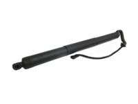 BMW X5 F15 13-18 1x Dämpfer Spindelantrieb Heckklappe Links BMW X5 F15 13-18 21.06.2013 51247294469 7294469... Vorschau 1