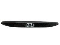Hyundai I20 III BC3 20-23 Griffleiste Griff aussen für Heckklappe R3W Hyundai I20 III BC3 20-23 20.07.2020... Vorschau 1