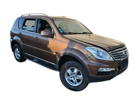 Ssangyong Rexton W RJ 12-17