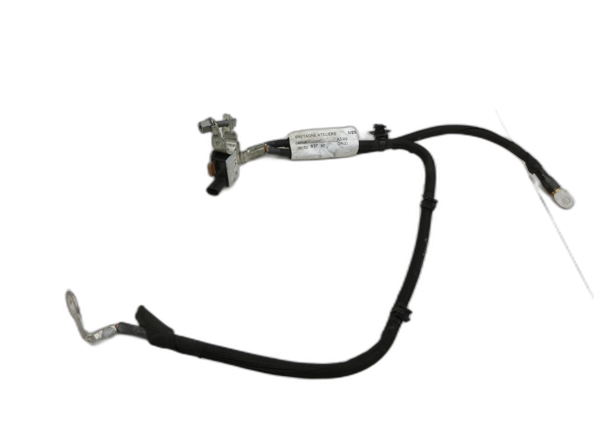 Opel Crossland X P17 17-20  Kabelbaum für Batterie - Bild 1