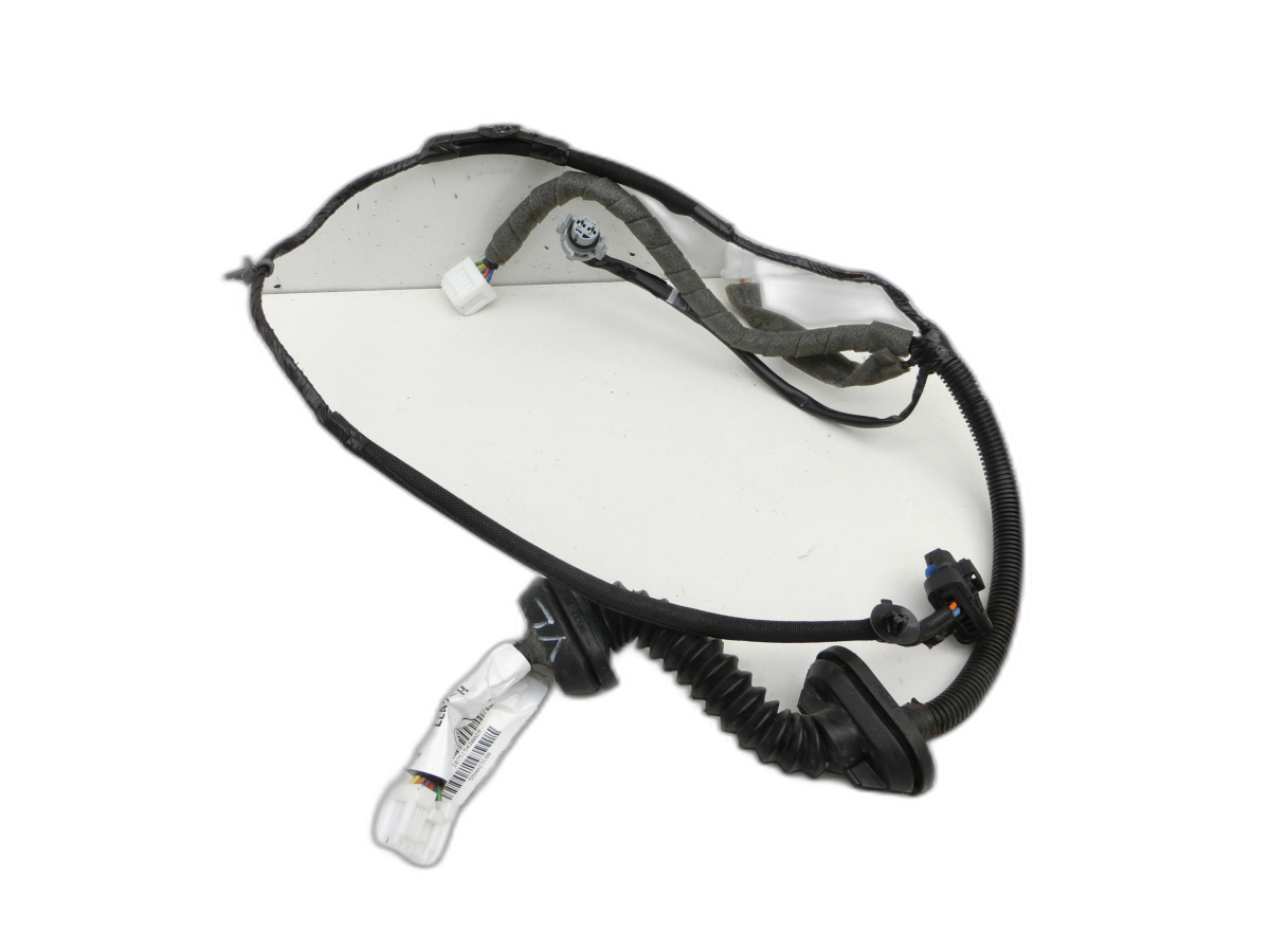 Harness Door and Window Lift Left Front for Nissan Qashqai J10 +2 10-13 - Bild 1