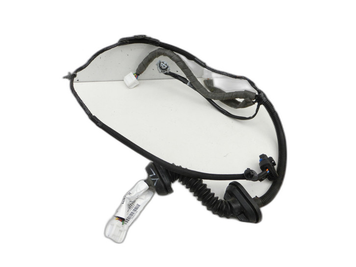 Nissan Qashqai J10 +2 10-13  Kabelbaum Tür und Fensterheber Links Vorne  - Bild 1