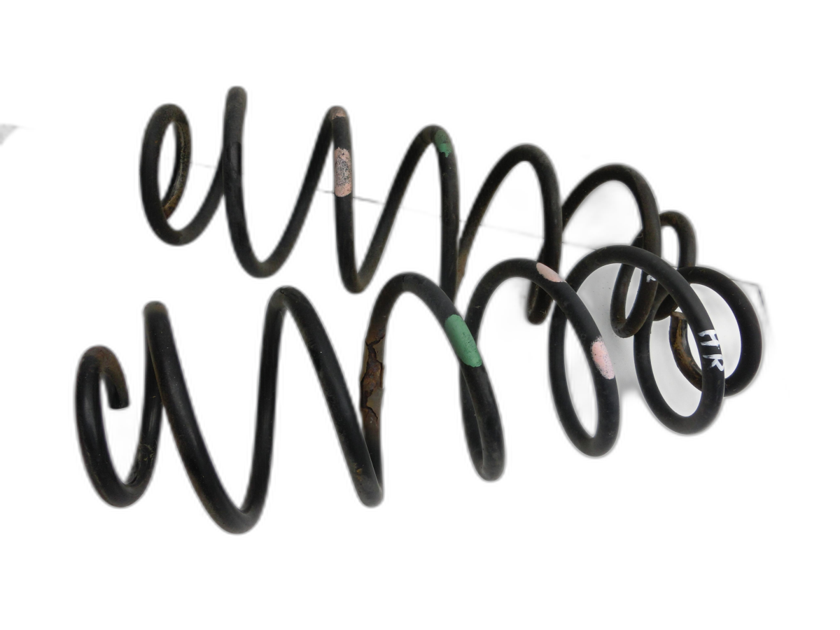 ambos Muelle Muelles posterior para Peugeot 1007 05-09 - Bild 1