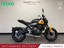 2025 Triumph Trident 660 -  Massive 900 Lings Savings!