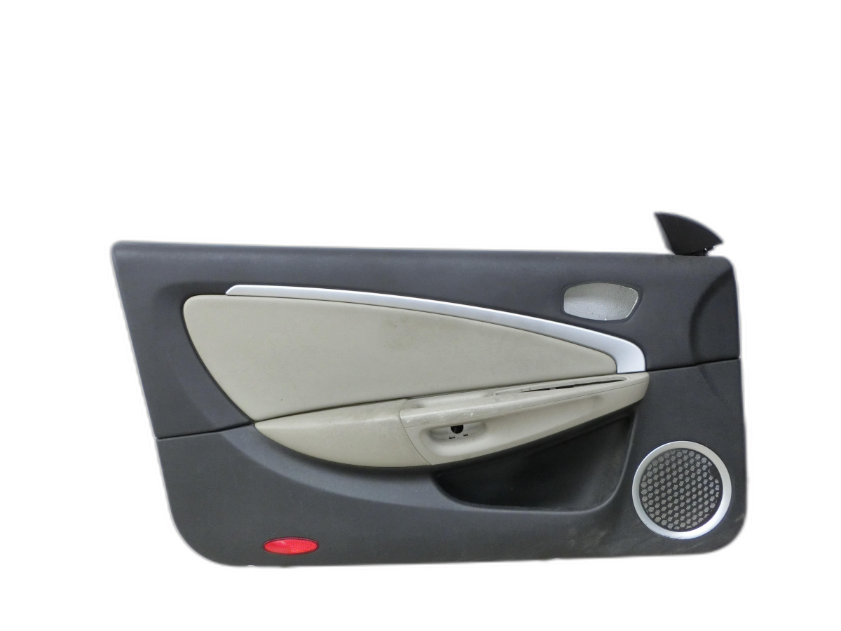 Pannello portiera Sx anteriore per Renault Megane III CC 08-12 - Bild 1