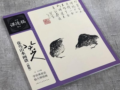 Bada Shanren's Bird and Flower Landscape Ink Brush Painting Art Tutorial Book