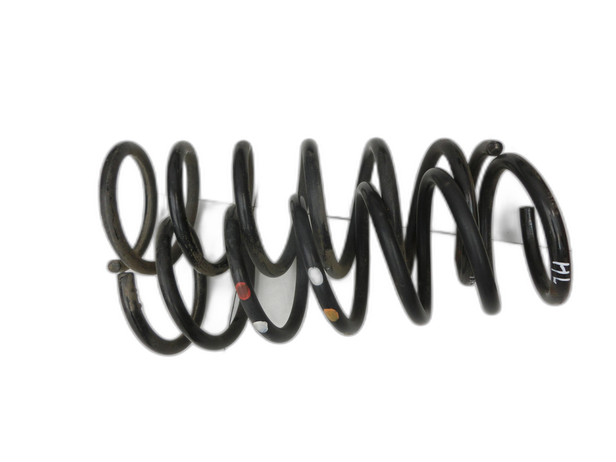 both Spring Rear for Ford C-Max II 10-15 - Bild 1