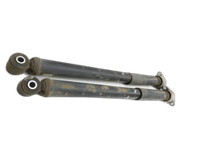 Ford EcoSport 12-22 Stossdämpfer Rechts und Links Hinten Ford EcoSport 12-22 19.11.2015 FN1C-18480-AL gebraucht Vorschau 1