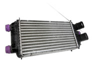 Citroen C4 III 20-24 1,2 74KW Ladeluftkühler Kühler Citroen C4 III 20-24 26.09.2024 9824742280 9824742280... Vorschau 1