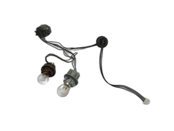 Range Rover Sport LS 10-13 Kabelbaum Lampenträger Lampenfassungen für Rückleuchte Links Hinten - Bild 1