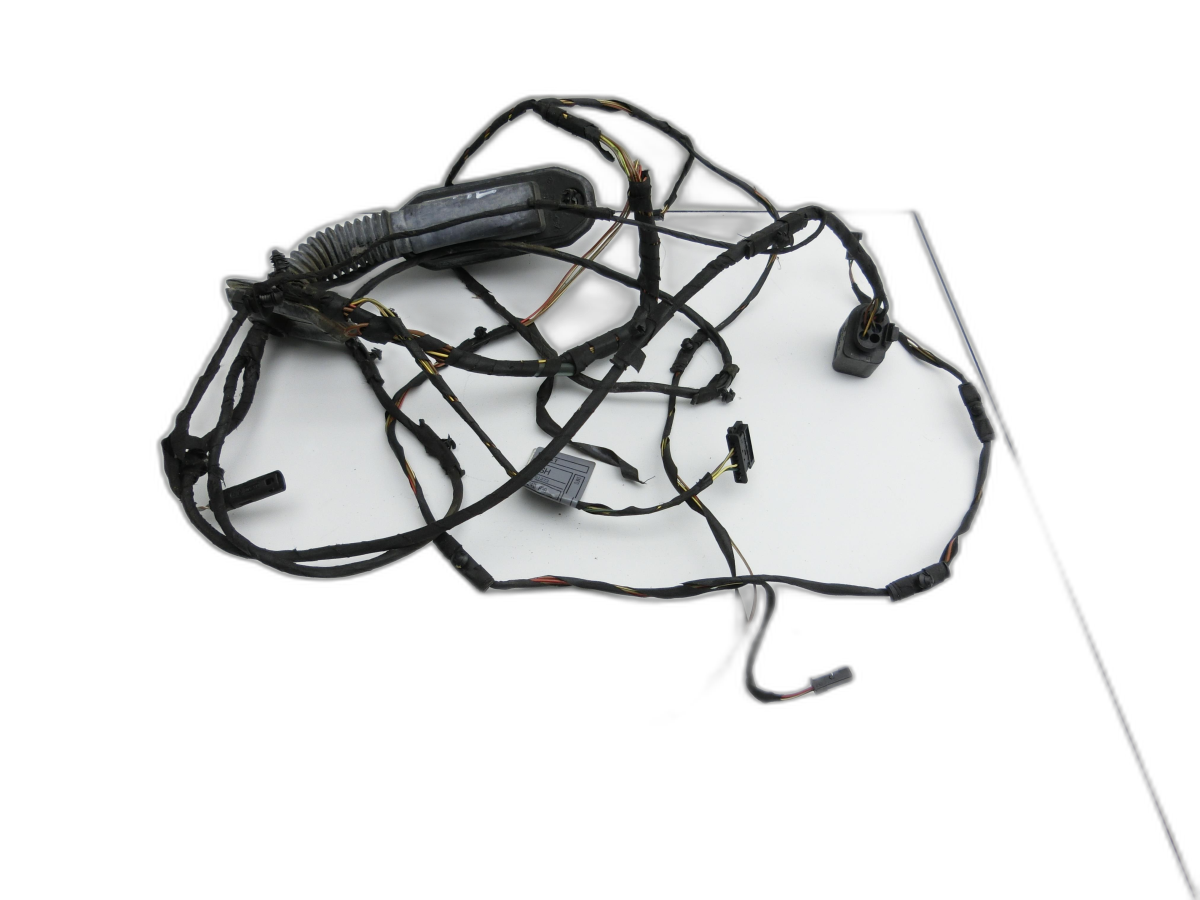 Fascio cablaggio per Portiera e Alzacristallo Sx posteriore BMW F11 10-13 5er 525D - Bild 1