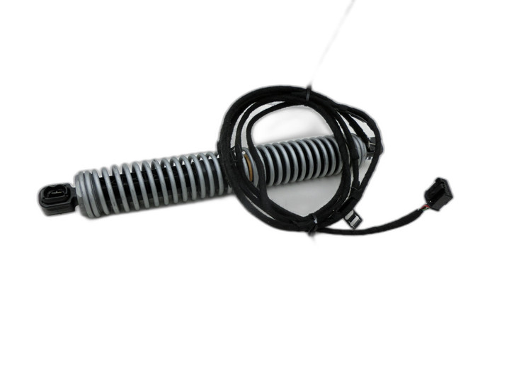 BMW F10 528i 10-13 Lim Dämpfer Gasdruckfeder für Heckklappe Links Hinten  - Bild 1